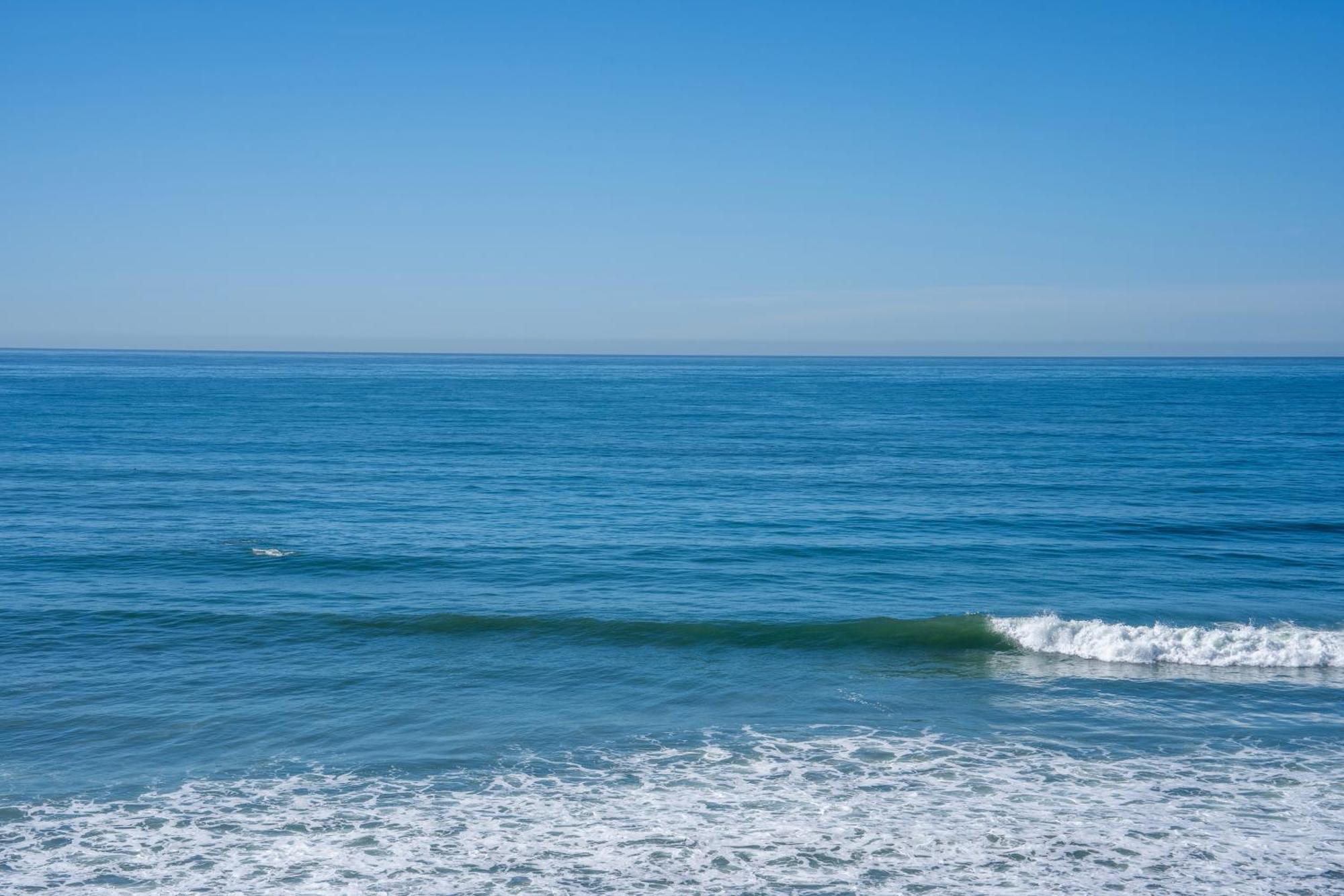 Beachfront Breathtaking 1 Bedroom Apt Tijuana Luaran gambar